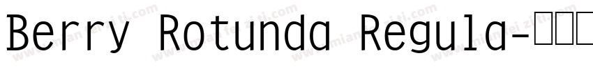 Berry Rotunda Regula字体转换
